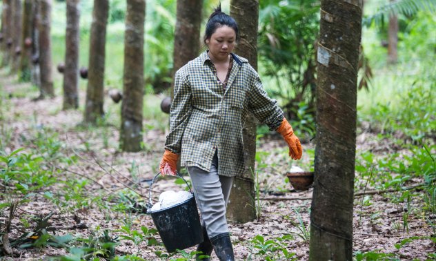 Поправката на спукана гума ще поскъпне заради климатичните промени