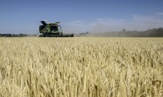 Зърнопроизводителите имат силно лоби в ЕС и вносът на украинско жито може да спре 