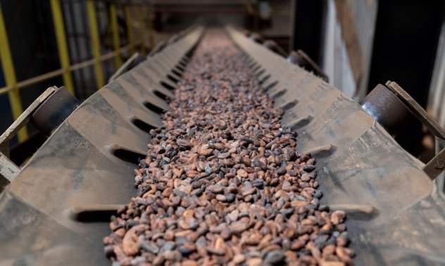 Какаови уроци по икономика