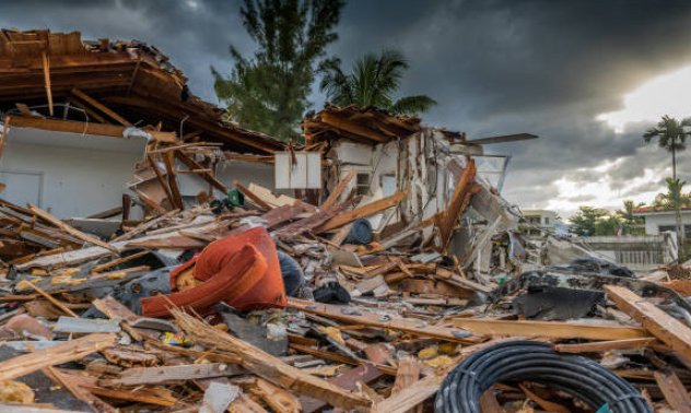 Радостта на сървайвър 