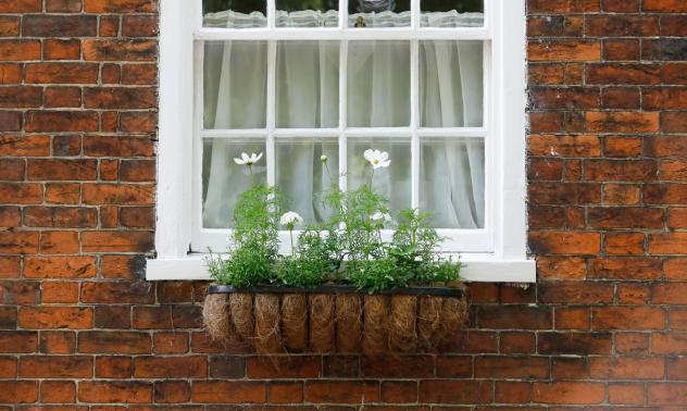 Цветарската индустрия в ЕС губи 4.12 млрд. евро заради мерките срещу Covid-19 