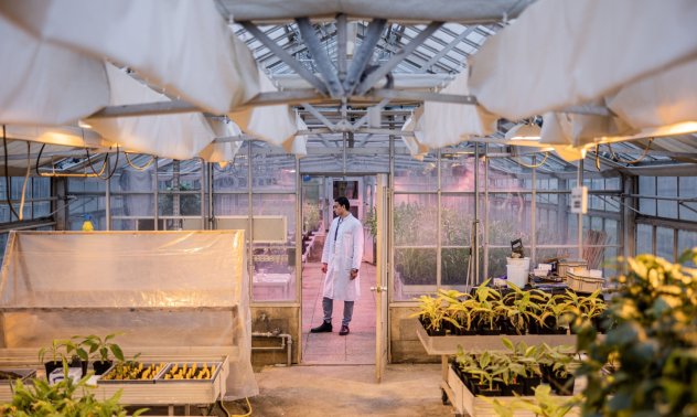 Климатичните промени стартират космическа надпревара за семена мутанти