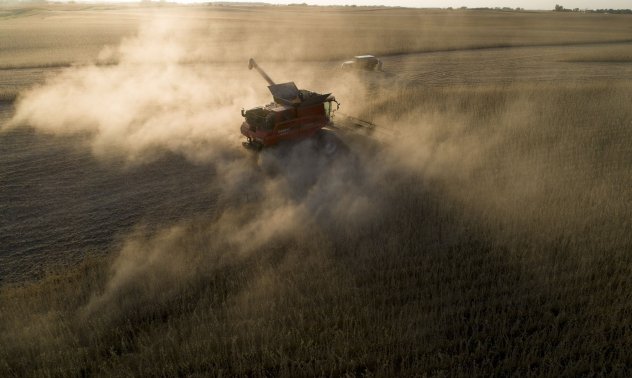 Европейски фермери се обръщат към ГМО фуражи, за да заменят вноса от Украйна