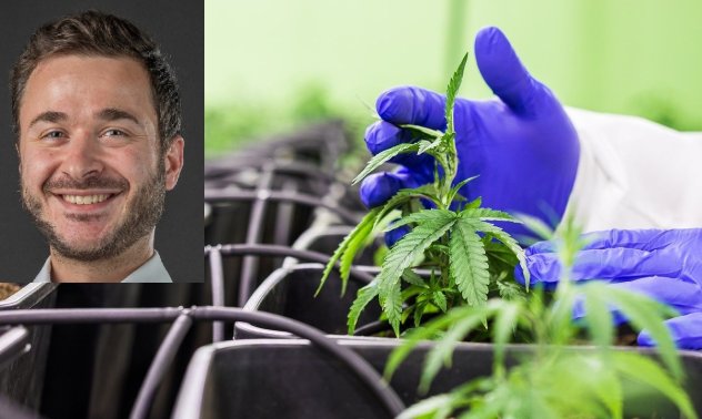 Акциите на канабис компании "изпушиха" покрай легализацията в Германия