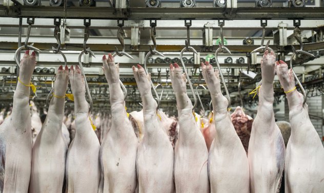 За пакетировачите на месо инвазията на роботите не може да дойде достатъчно бързо