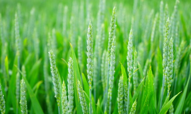 Земеделците няма да толерират ненужно забавяне на договорените промени в закона 