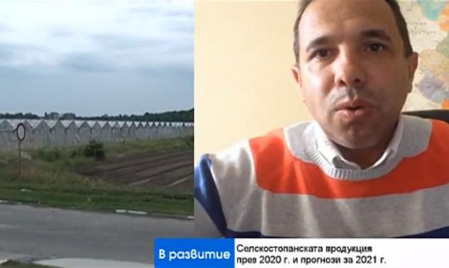 Биотехнологиите застрашават все повече земеделския сектор 