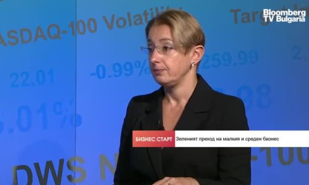 Правилата за ESG отчитането рискуват работата на малкия и среден бизнес