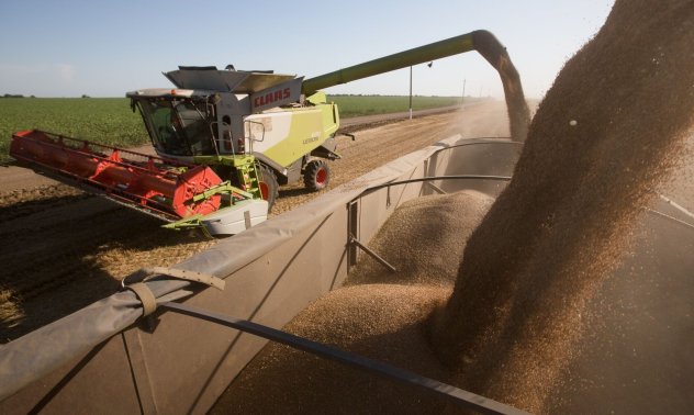 Страхът от инфлация при храните се разпалва отново