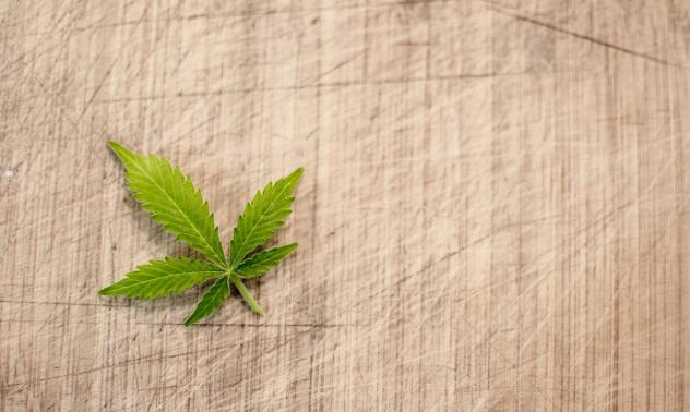 Канабис: След легализацията на федерално ниво ще имаме истинска промяна в индустрията