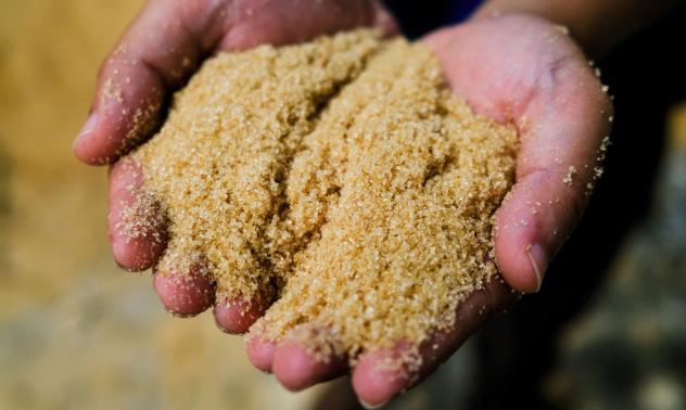 Още лоши новини за захарната индустрия в Европа - Египет увеличава местното производство