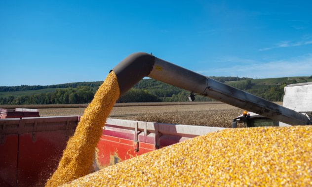 Путин събуди света от съня на свободната търговия и го обрича на глад и недоимък