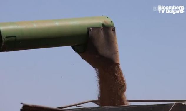 Австралия одобри $15 млн за борба с мишките