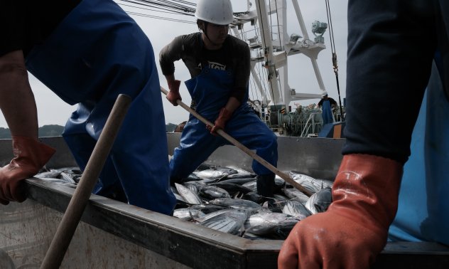 Китай може да вдигне забраната за внос на морски дарове от Япония