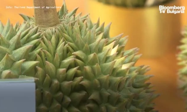 Защита на тайландския износ на дуриан