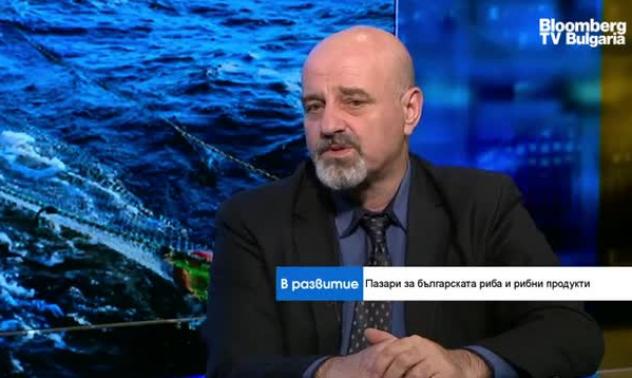 Рибният сектор е стабилен въпреки пандемията