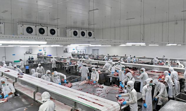 Германия удвоява износа си на свинско месо към Китай през първата половина на 2020 г. 