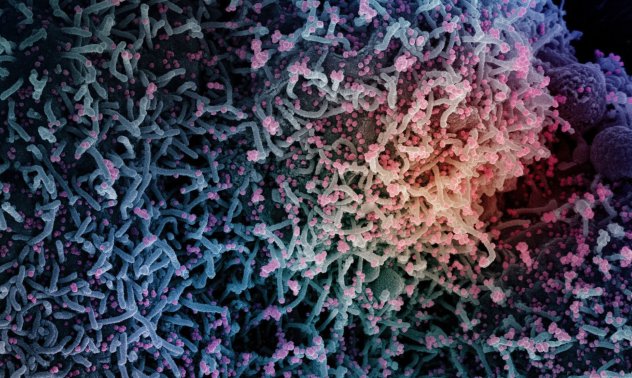 Здравните системи в Европа се пропукаха, а пикът на Омикрон предстои 