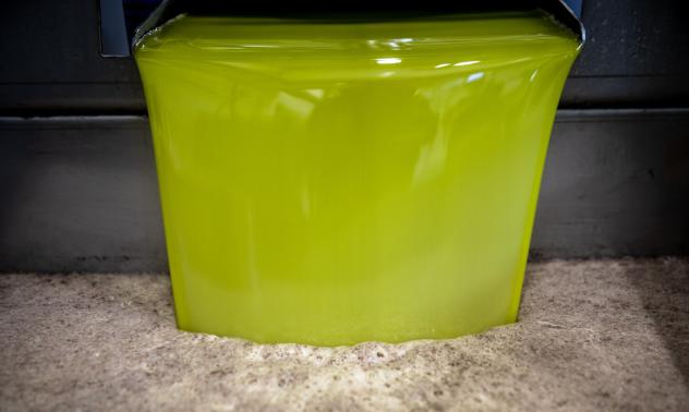 Зехтинът: Една от най-търсените съставки в Азия