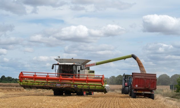 България трябва да удължи срока на мерките срещу внос на зърно от Украйна 