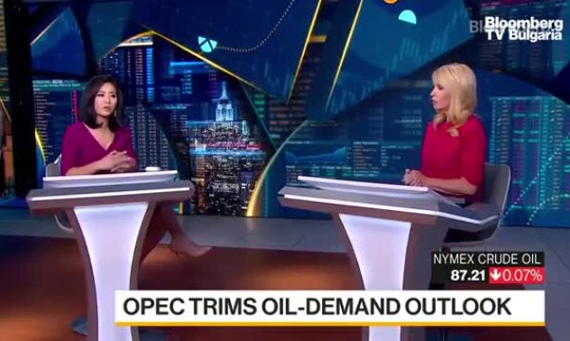 ОПЕК понижи прогнозата си за търсенето на петрол през четвъртото тримесечие