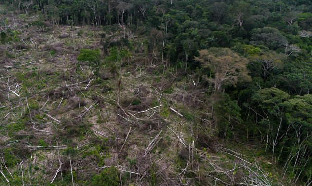 САЩ призовават ЕС да отложи приемането на закон, насочен към борба с обезлесяването