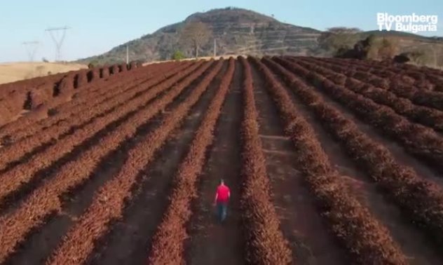 Бразилия е само част от общата тенденция на климатични промени