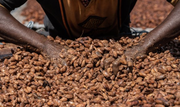 Европейският потребител на шоколад ще трябва да плаща повече за устойчиво какао