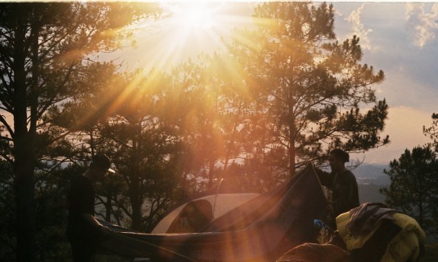 Да отлетиш към дивото