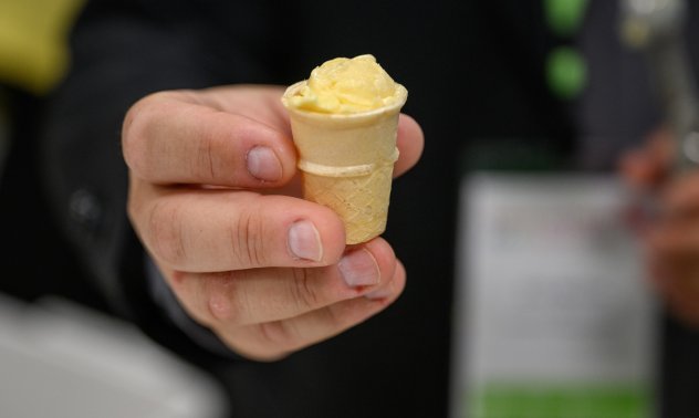 Инфлацията при сладоледите идва точно навреме за лятото