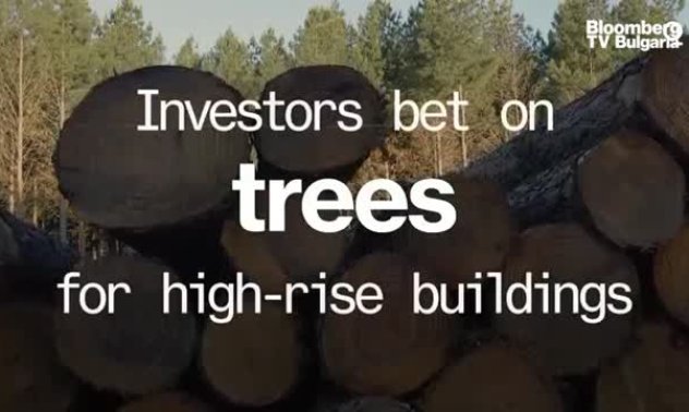 Инвеститорите залагат на нов вид дървесина за високо строителство, част 1