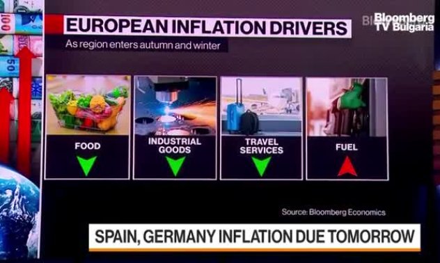 TD Securities: Цялостната картина в Германия може да не е толкова страшна