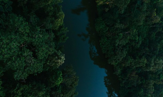 Най-засегнатият континент от климатичните промени: екосъобразните примери от Африка