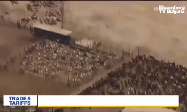 Нова Зеландия и ЕС с договор за свободна търговия