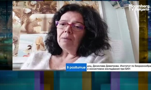 Не консумираме произведените у нас плодове и зеленчуци, а нискокачествен внос