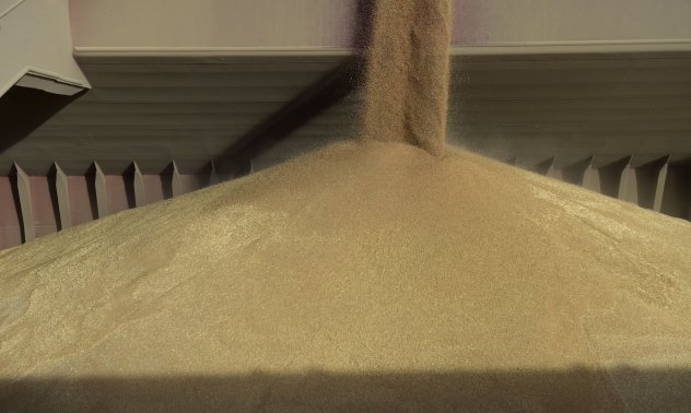 Цените на зърното стигнаха дъното и се очаква да нарастват