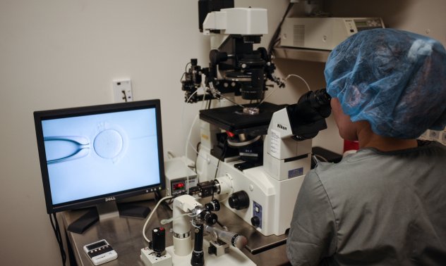 Разходите за ин витро в САЩ падат - Тръмп сключи сделка с германската Merck