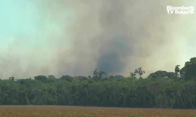 Екологична справедливост в Бразилия