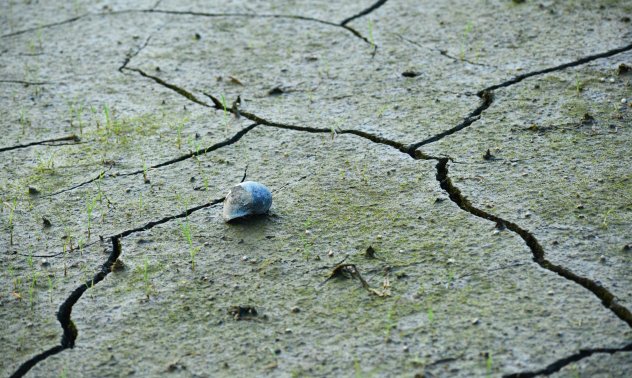 Румъния и Турция вече предупреждават за трусове, у нас подобна система липсва