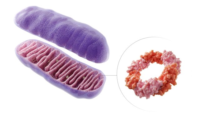 Британска компания развива революционно лечение срещу агресивен рак