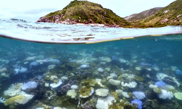 "Безпрецедентни" топлинни вълни в океана предполагат повратна точка за климата