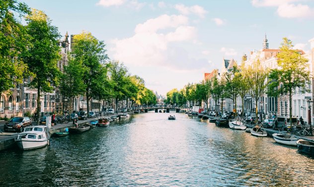 Нидерландия може се откаже от Nexperia, ако доставките на чипове бъдат възобновени