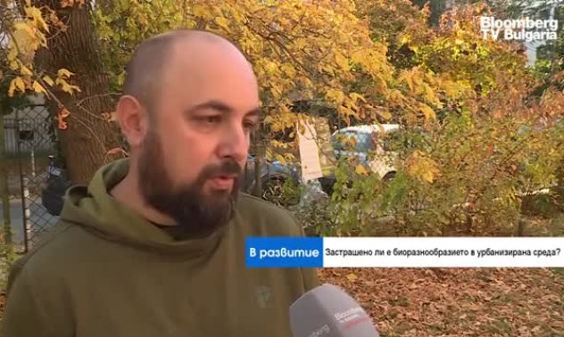 Застрашавайки биоразнообразието в градовете, вредим на собственото си здраве