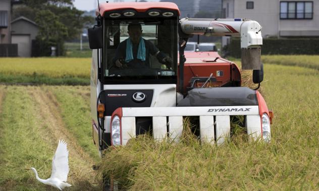 Япония планира 19% увеличение на  добива си от ориз за 2019 - 2020 г.