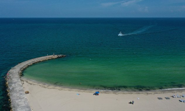 Кораловият риф подлежи на възстановяване при нормализиране на водната температура
