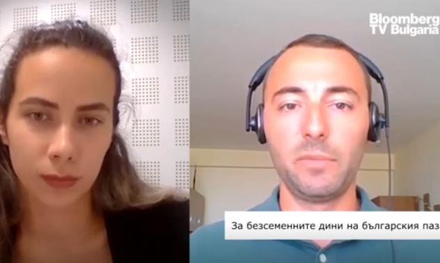 Търсенето на безсеменни дини на българския пазар достига сериозно ниво