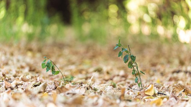Платформа от ученици за ученици насърчава устойчивото потребление