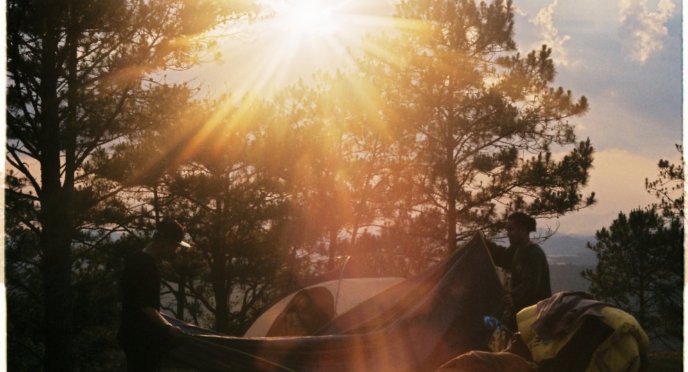 Да отлетиш към дивото