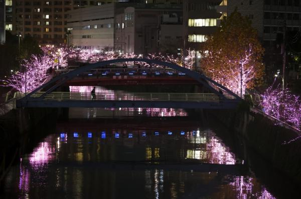 <p>Двата бряга на река Мегуро в центъра на Токио са осветени с LED светлини. Популярната дестинация за наблюдение на цъфналите вишни през пролетта използва биодизел за изкуствените розови цветове, които ще светят до януари.</p>
