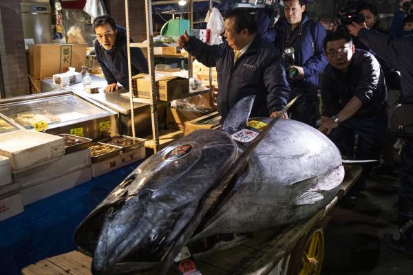 <p>Рибата е много добра и по-скъпа от очакваното, каза купувачът Киоши Кимура, собственик на веригата ресторанти Sushi Zanmai. През 2013 пак той постави рекорда за скъпа покупка на тон. Сега обаче цената е двойно по-висока.</p>

<p>Кимура се е самообявил за Краля на рибата-тон.</p>
